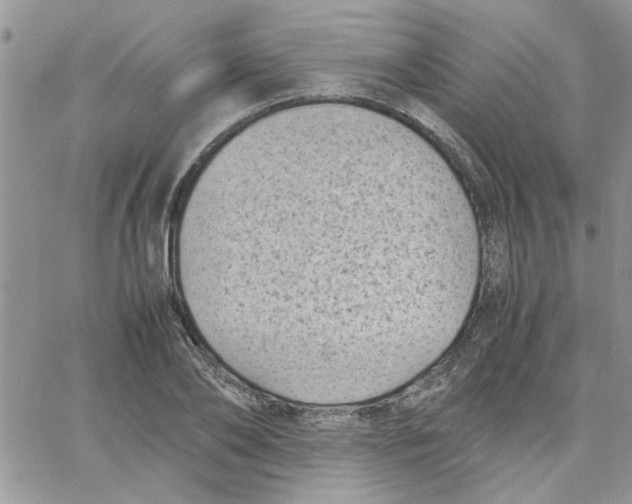 X0000066020886200603241532