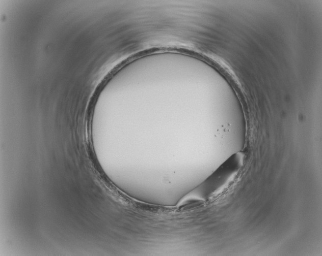 X0000066020887200603241532