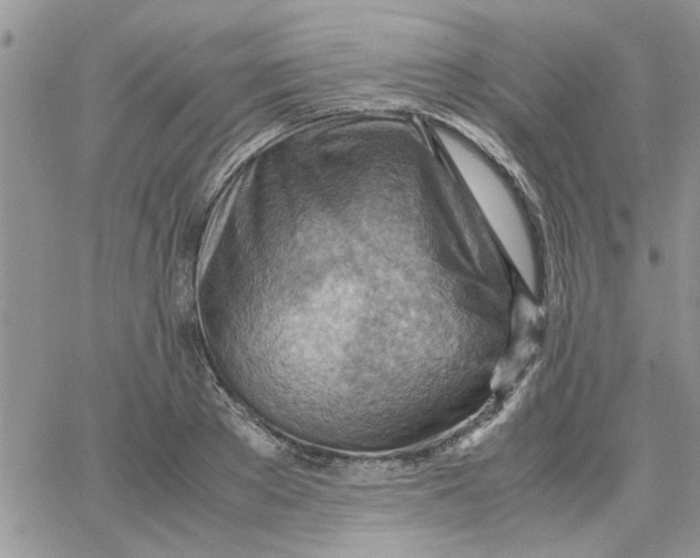 X0000066020889200603241532