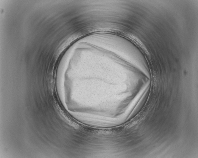 X0000066020890200603241532