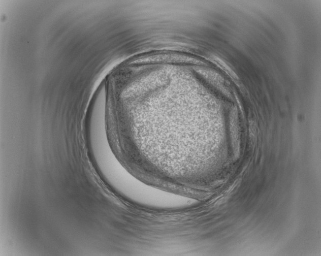 X0000066020891200603241532