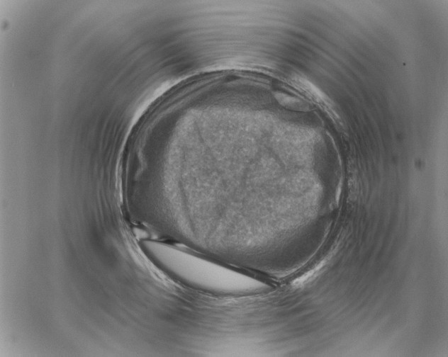 X0000066020892200603241532