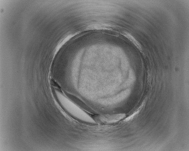 X0000066020893200603241532