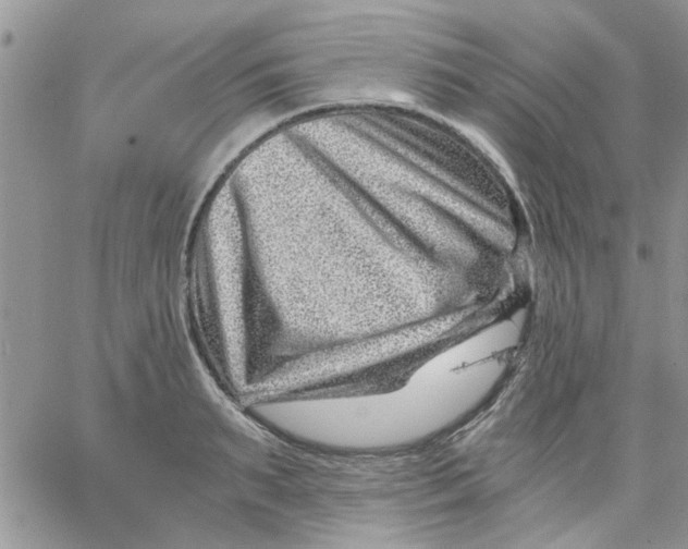 X0000066020895200603241532