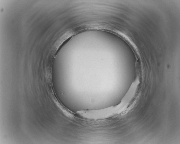 X0000066020897200603241532