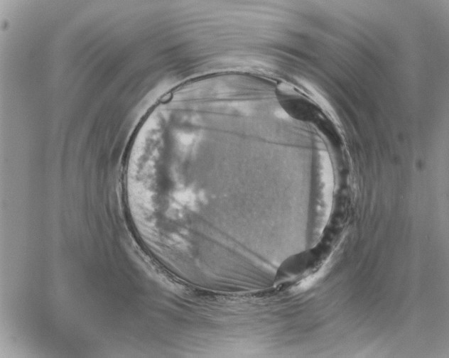 X0000066020899200603241532