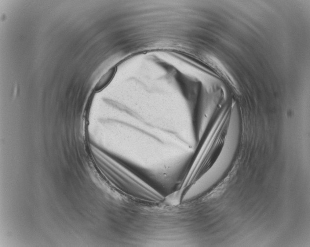 X0000066020900200603241532