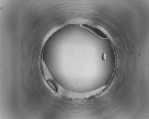 X0000066020901200603241532