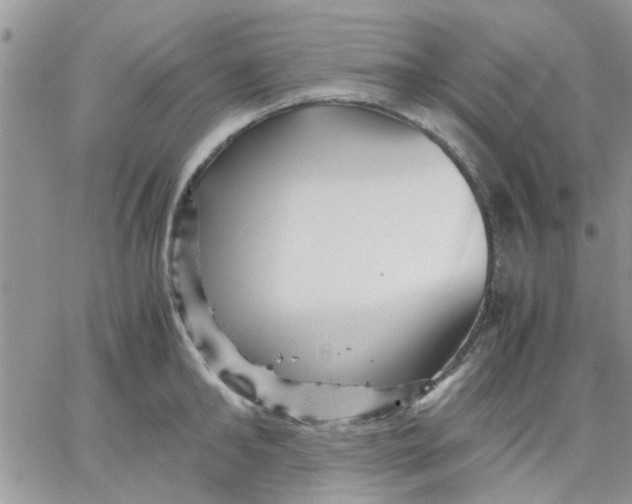 X0000066020902200603241532