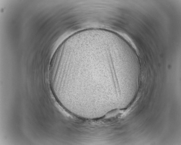 X0000066020903200603241532