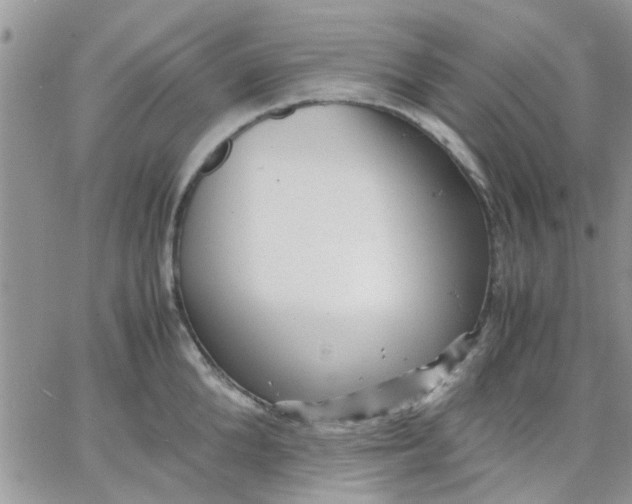 X0000066020904200603241532