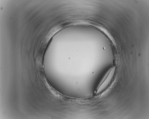 X0000066020905200603241532