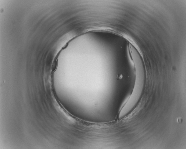 X0000066020906200603241532