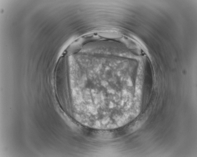 X0000066020907200603241532