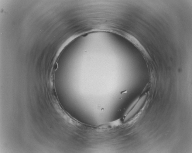 X0000066020908200603241532