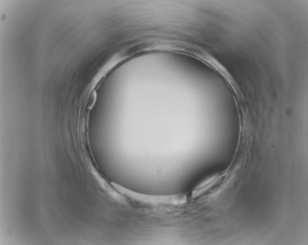 X0000066020909200603241532