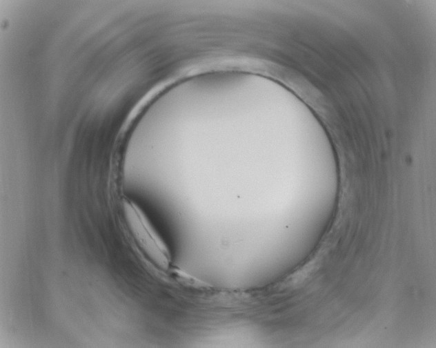 X0000066020912200603241532