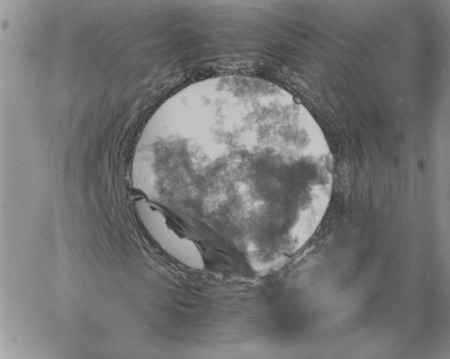 X0000066020913200603241531