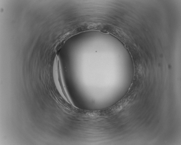 X0000066020914200603241531