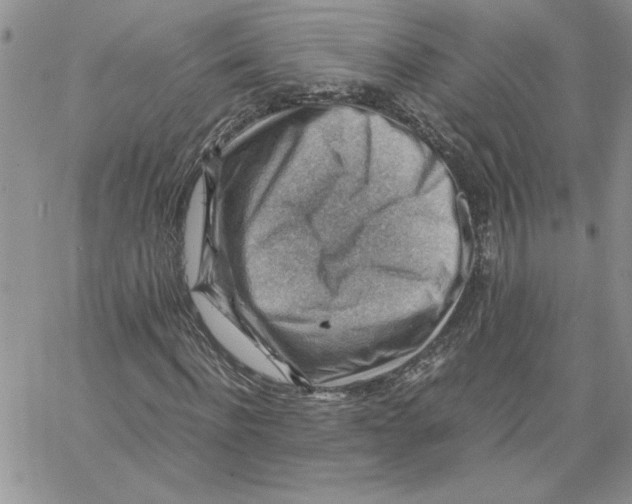 X0000066020916200603241531