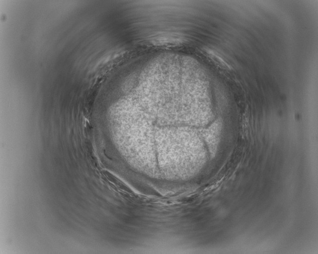 X0000066020917200603241531