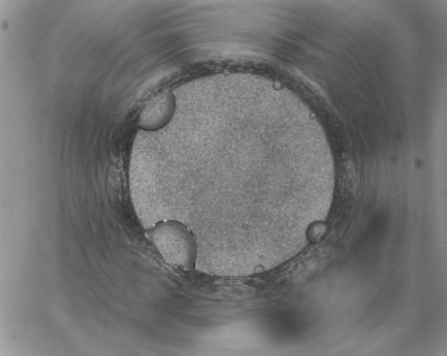 X0000066020918200603241531