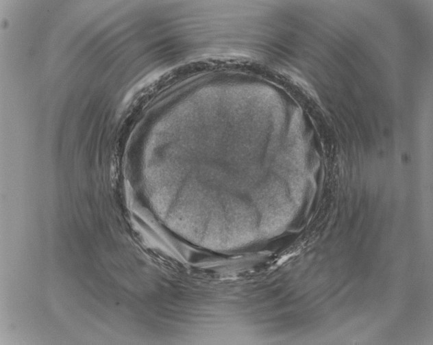 X0000066020920200603241531