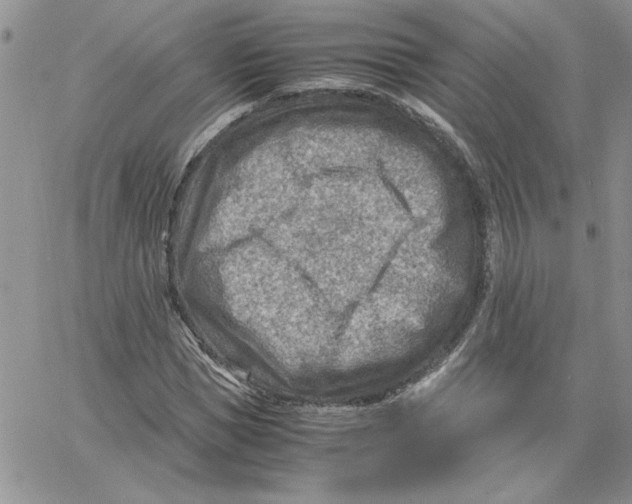 X0000066020921200603241531