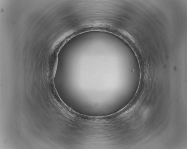 X0000066020922200603241531