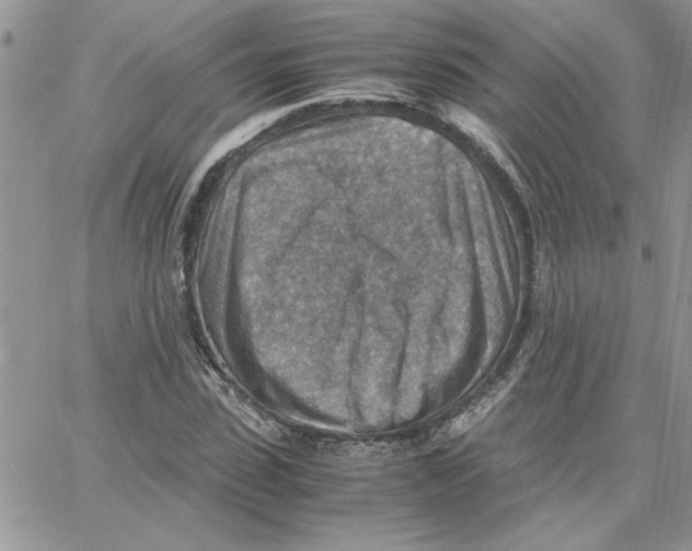 X0000066020923200603241531