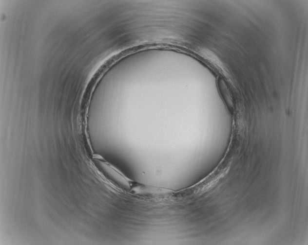 X0000066020924200603241531