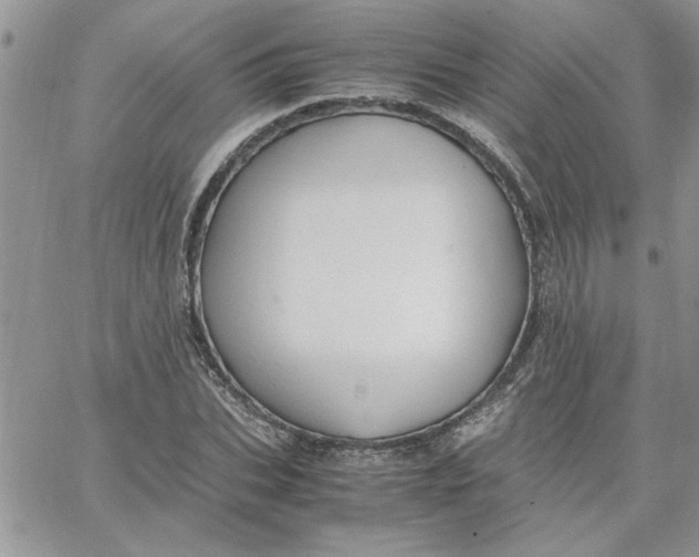 X0000066020927200603241531