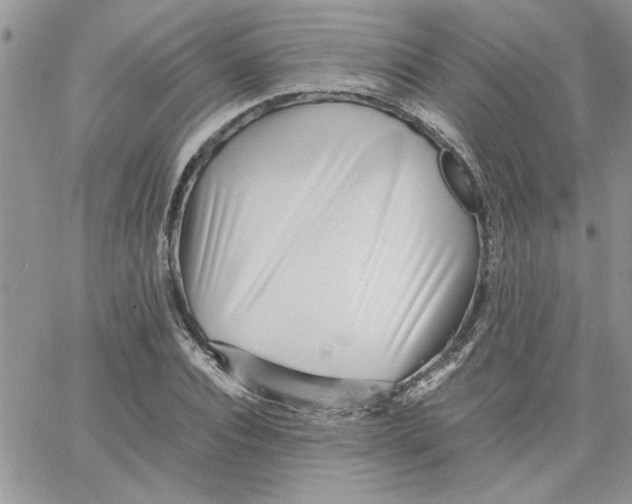 X0000066020928200603241531