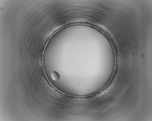 X0000066020929200603241531