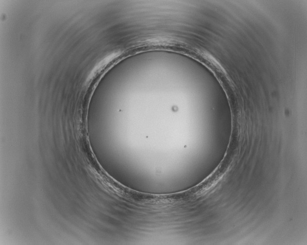 X0000066020930200603241531