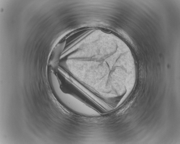 X0000066020932200603241531