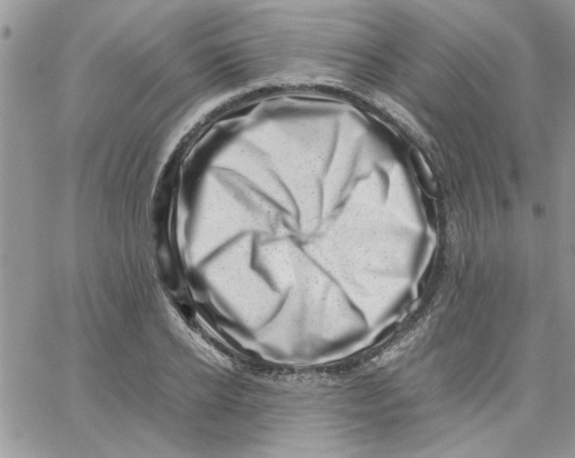 X0000066020934200603241531