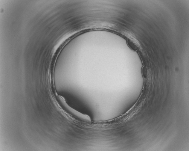 X0000066020936200603241531