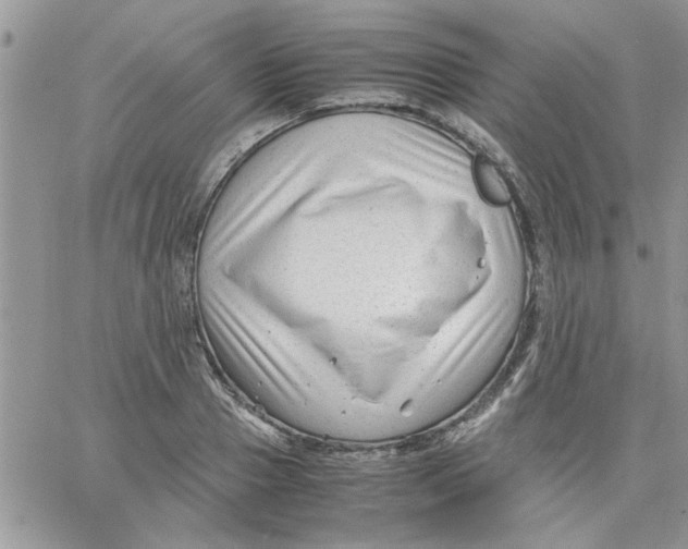 X0000066020937200603241531