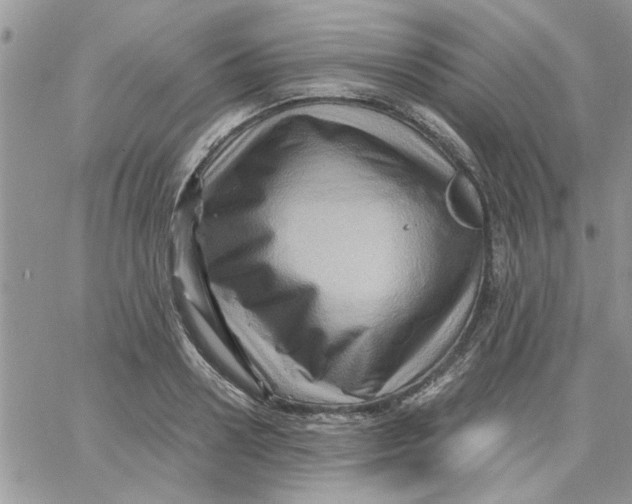 X0000066020938200603241531