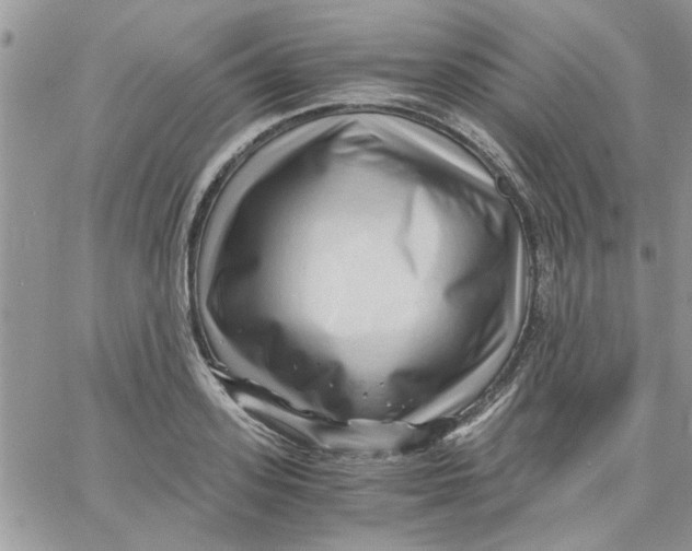 X0000066020939200603241532