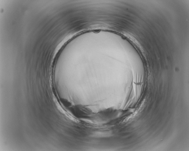 X0000066020941200603241532