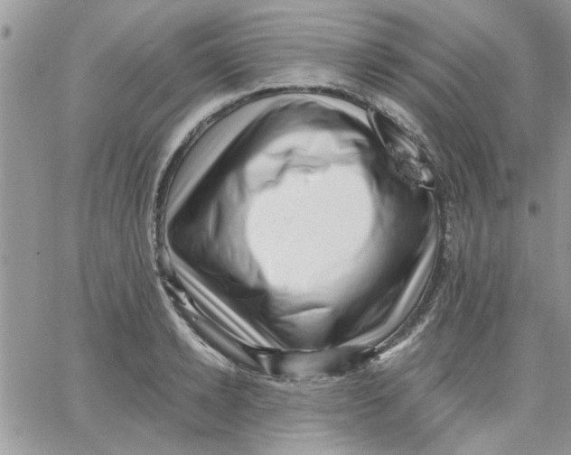 X0000066020942200603241532