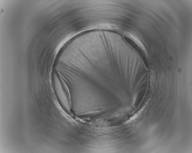 X0000066020944200603241532