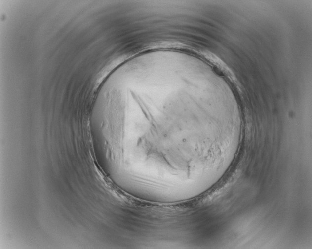 X0000066020945200603241532