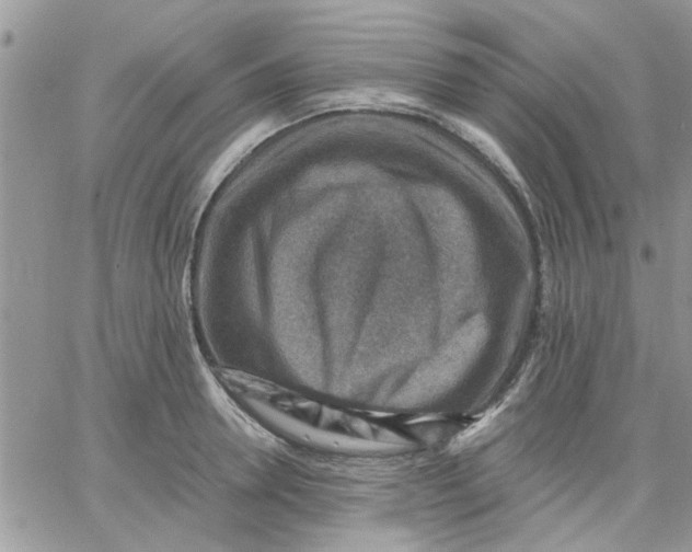 X0000066020946200603241532