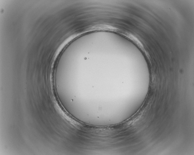 X0000066020947200603241532