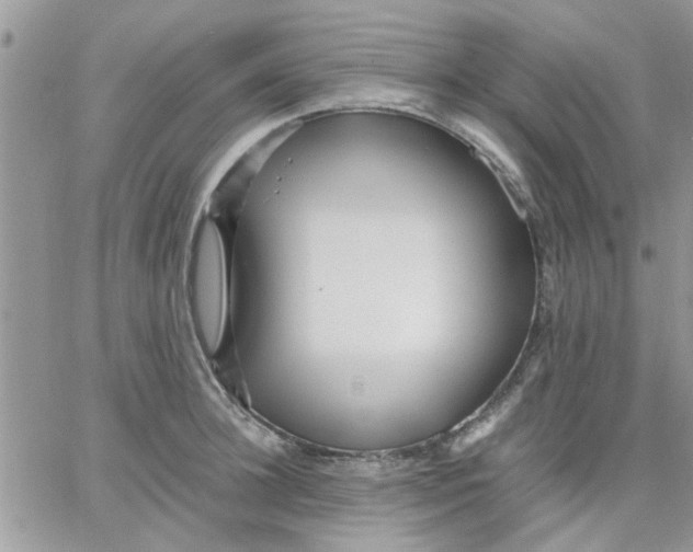 X0000066020948200603241532