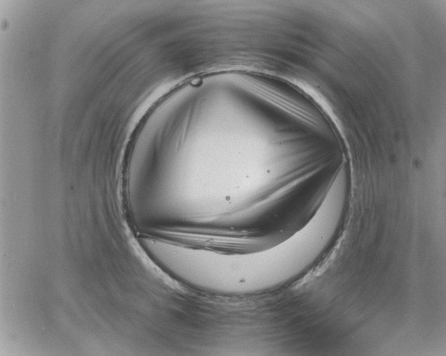 X0000066020949200603241532