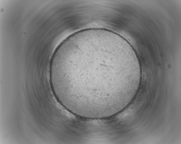 X0000066020950200603241532